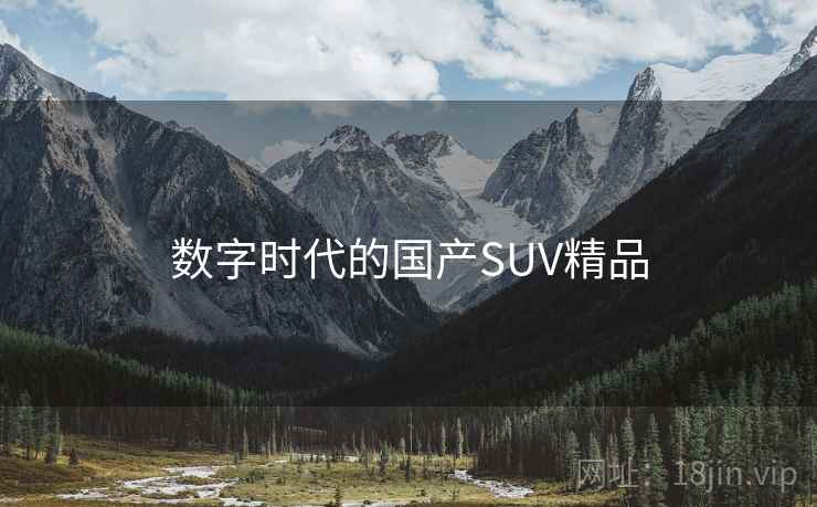 数字时代的国产SUV精品 数字时代的国产SUV精品