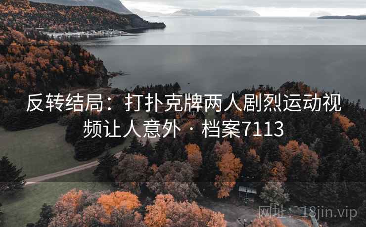 反转结局：打扑克牌两人剧烈运动视频让人意外 · 档案7113