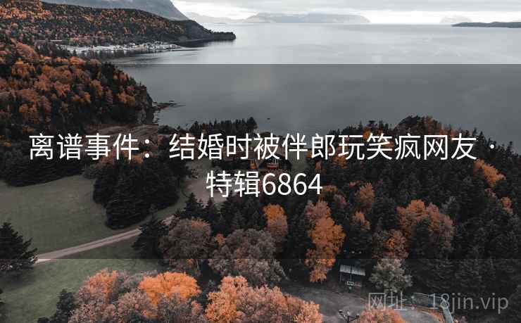 离谱事件：结婚时被伴郎玩笑疯网友 · 特辑6864